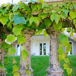 White Lilac Romantic - Adults Only Bed & Breakfast Arona