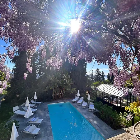 White Lilac Romantic - Adults Only 4*