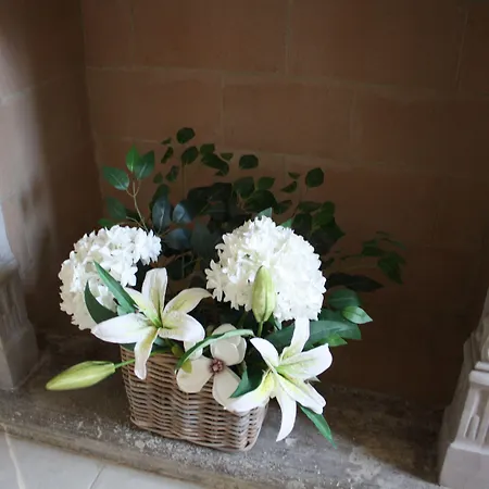 White Lilac Romantic - Adults Only 4* Arona