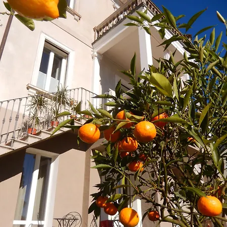 White Lilac Romantic - Adults Only Frühstückspension 4*