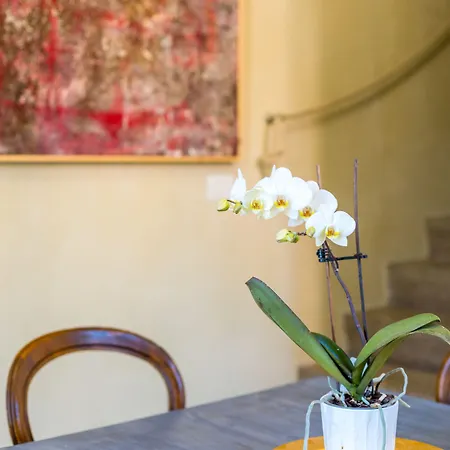 Frühstückspension White Lilac Romantic - Adults Only