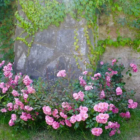 White Lilac Romantic - Adults Only Frühstückspension 4*