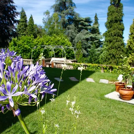 White Lilac Romantic - Adults Only 4* Arona